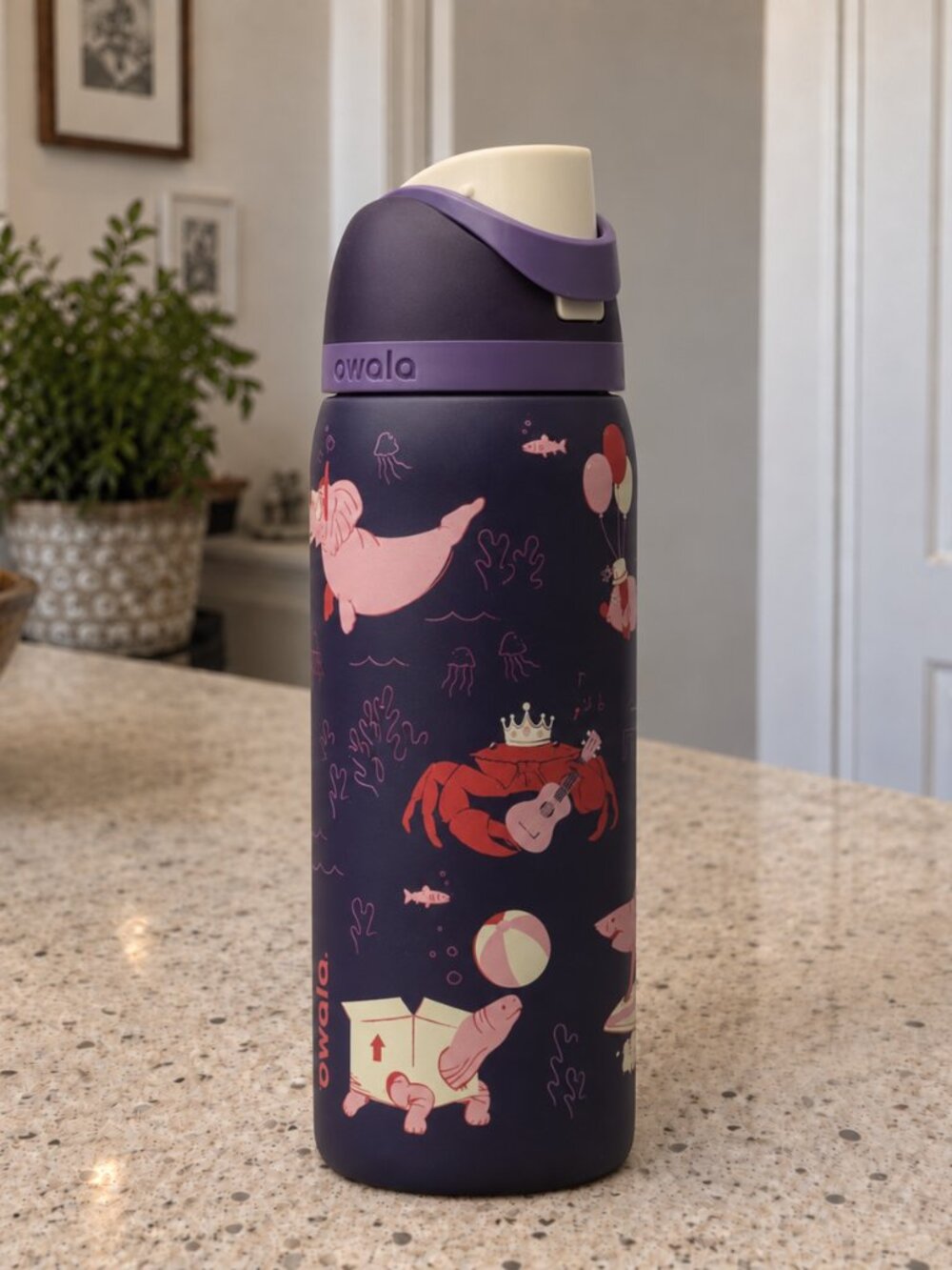 Owala 32oz Insulated Water Bottle